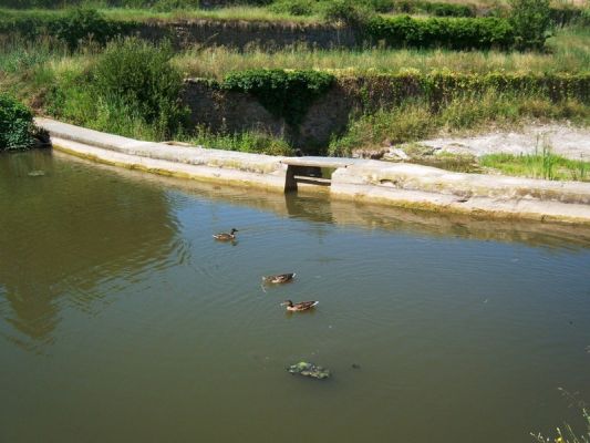 Premi aqui per a veure la imatge a grand�ria completa