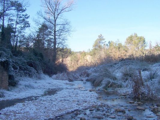 Premi aqui per a veure la imatge a grand�ria completa