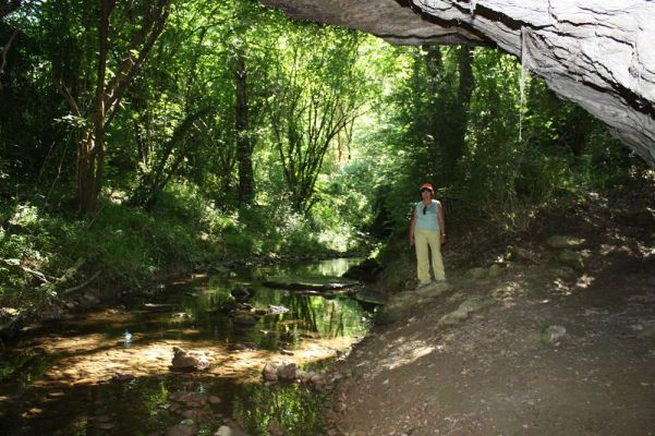 Premi aqui per a veure la imatge a grand�ria completa