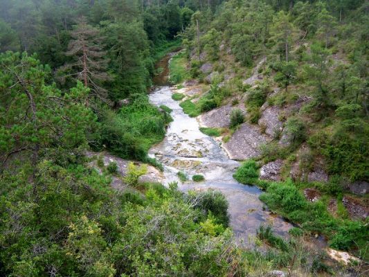 Premi aqui per a veure la imatge a grand�ria completa