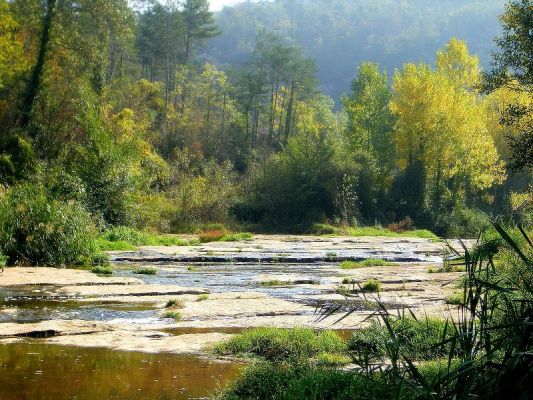 Premi aqui per a veure la imatge a grand�ria completa