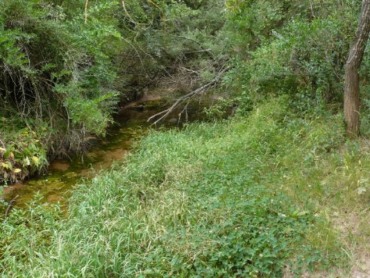 Premi aqui per a veure la imatge a grand�ria completa