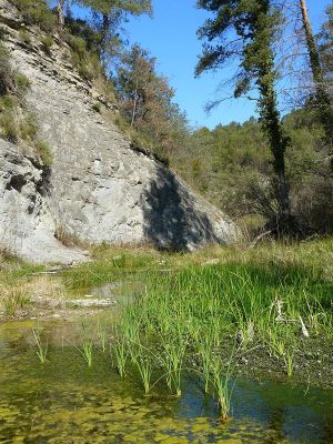 Premi aqui per a veure la imatge a grand�ria completa