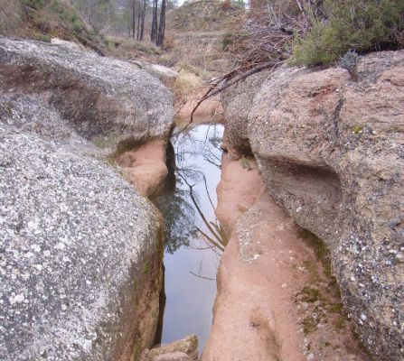 Premi aqui per a veure la imatge a grand�ria completa