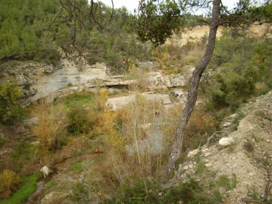 Premi aqui per a veure la imatge a grand�ria completa