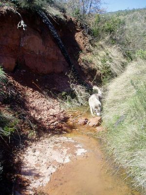 Premi aqui per a veure la imatge a grand�ria completa