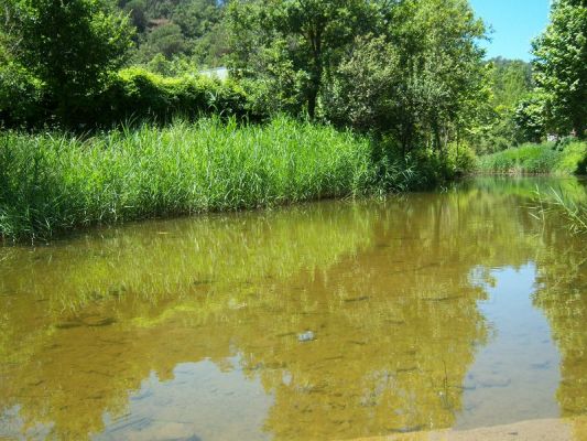 Premi aqui per a veure la imatge a grand�ria completa