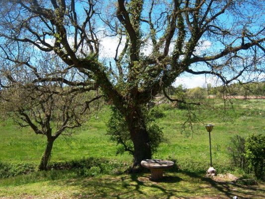 Premi aqui per a veure la imatge a grand�ria completa