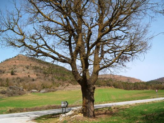 Premi aqui per a veure la imatge a grand�ria completa