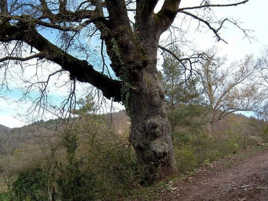 Premi aqui per a veure la imatge a grand�ria completa