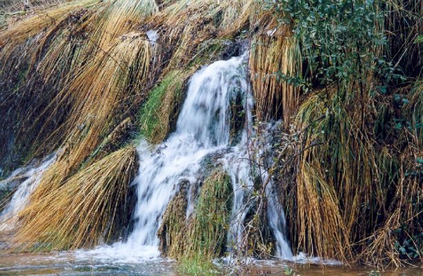 Premi aqui per a veure la imatge a grand�ria completa