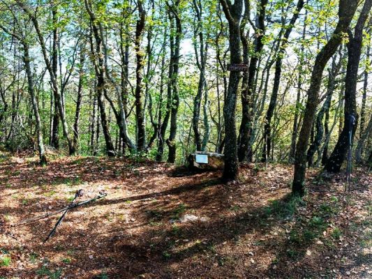 Premi aqui per a veure la imatge a grand�ria completa