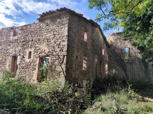 Premi aqui per a veure la imatge a grand�ria completa