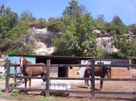 Premi aqui per a veure la imatge a grand�ria completa