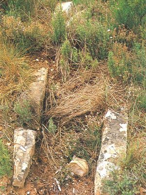 Premi aqui per a veure la imatge a grand�ria completa