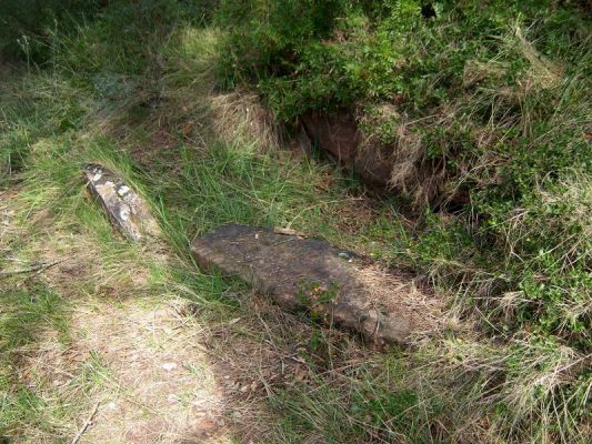 Premi aqui per a veure la imatge a grand�ria completa