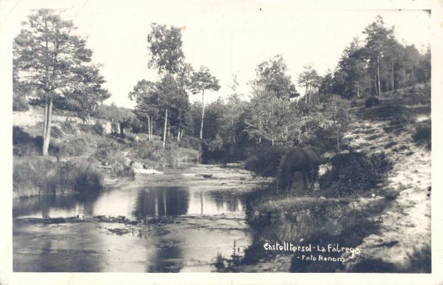 Premi aqui per a veure la imatge a grand�ria completa