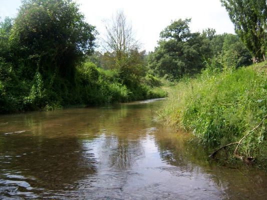 Premi aqui per a veure la imatge a grand�ria completa