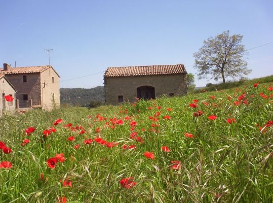 Premi aqui per a veure la imatge a grand�ria completa