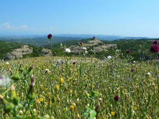 Premi aqui per a veure la imatge a grand�ria completa