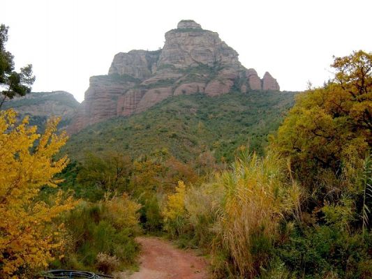 Premi aqui per a veure la imatge a grand�ria completa