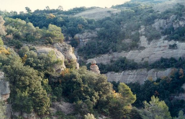 Premi aqui per a veure la imatge a grand�ria completa