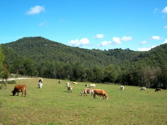 Premi aqui per a veure la imatge a grand�ria completa