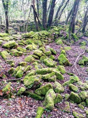 Premi aqui per a veure la imatge a grand�ria completa